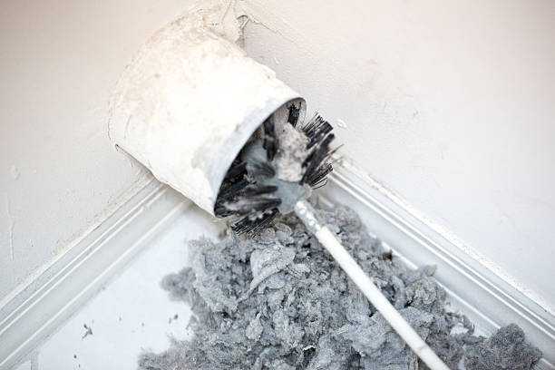 Best Affordable Duct Cleaning Services  in Dansville, NY