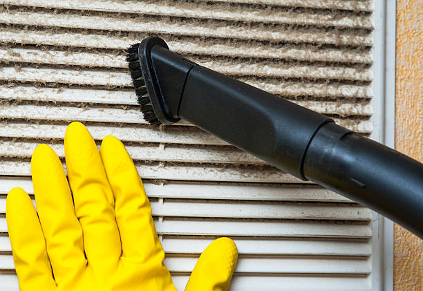 Best Duct Cleaning for Homes  in Dansville, NY